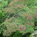 고성사방댐 이미지