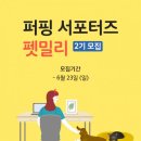 펫밀리 이미지