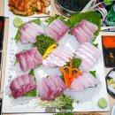 독도회센터 이미지