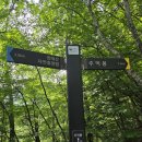 약수산장 - 김해시 대청계곡길 195-277 | (42/100) 방태산 주억봉 (인제) 26년 12차 / 산림청 #40 / 푸르른 원시림을 걷다