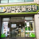 일곡동물병원 이미지