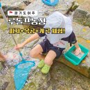 주록리계곡 루돌프 | 경기도 여주 가볼만한곳 아이랑 계곡 체험 루돌프농장 추천 (아이고고 추천인)