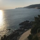 스노우뱅크콘도 이미지