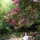 고려동유적지 이미지