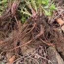 기린초등학교 이미지