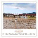 세탁랜드 | 2026 무안황토갯벌축제 아이와 갯벌체험 준비물 샤워장 무안황토갯벌랜드 후기