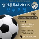 염기훈주니어축구클럽U12 U15 선수모집 이미지