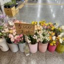 강남꽃직매장 이미지