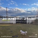갈곡스테이 | 경주 애견동반 독채펜션 갈곡스테이 힐링 후기✨