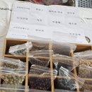 환경원예정원협동조합