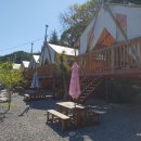 살구나무글램핑&펜션 이미지