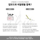 벨리노에스테틱