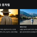 아프리카 패키지 여행 후기 총정리- 비용과 꿀팁 총정리!