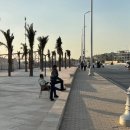 Delta Hotel | 세계여행ep18 네팔에서 이집트 카이로 성채 아부타릭 코샤리 대박물관 투탕카맨 기자 로컬 맛집