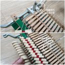 다인로얄팰리스배곧5차(배곧로얄팰리스5차) 이미지