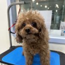 Mong's(몽'스) 이미지