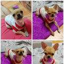 비산7동우체국 이미지