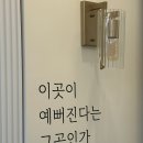숲아이래쉬