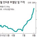 러시아 곡물 수출 중단…밀 가격 개폭등 중 이미지