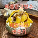 제주몽 - 제주시 | 제주몽