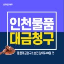 대한다문화스포츠협회 이미지