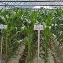 환원농장 이미지