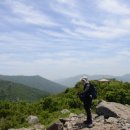 버스정류소_삼아아파트 이미지