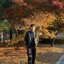 지즈루이스 이미지