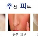 크리미뷰티