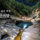 [한국의 자연명승] 설악산 십이선녀탕 일원 이미지