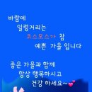 주식회사 인생2막 이미지