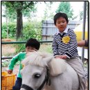 기현2농장 이미지