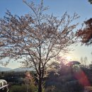 삼포마당넓은집 이미지