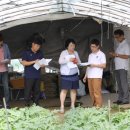 임세묵 농장 이미지