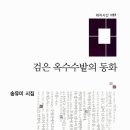 검은 옥수수밭의 동화 - 송유미 시집 / 애지 이미지