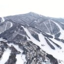 용평리조트 스키장 이미지