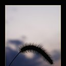 노을농장 이미지