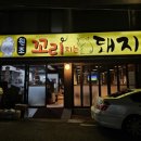 원조꼬리치는돼지 이미지