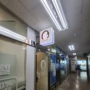 고양이미용 캣어스 | 안산 고양이전문 미용&amp;호텔링 슈슈캣 장모고양이 무마취 미용 후기