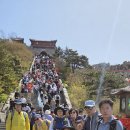 태산