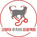 로얄말전문병원 네이버블로그