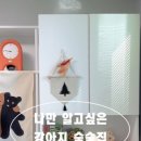 모노퍼피 이미지