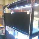 오천수족관 이미지