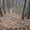 배실목장 이미지