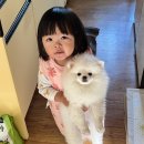 깨롱이 네이버블로그