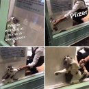 송내과의원 | 송내과의원 화이자 백신 3차 부스터샷 후기