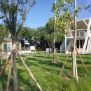 신천공원 화장실 이미지