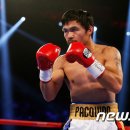 브래들리 이미지