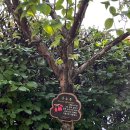 산우물어린이공원 이미지