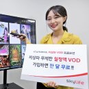 스카이라이프
